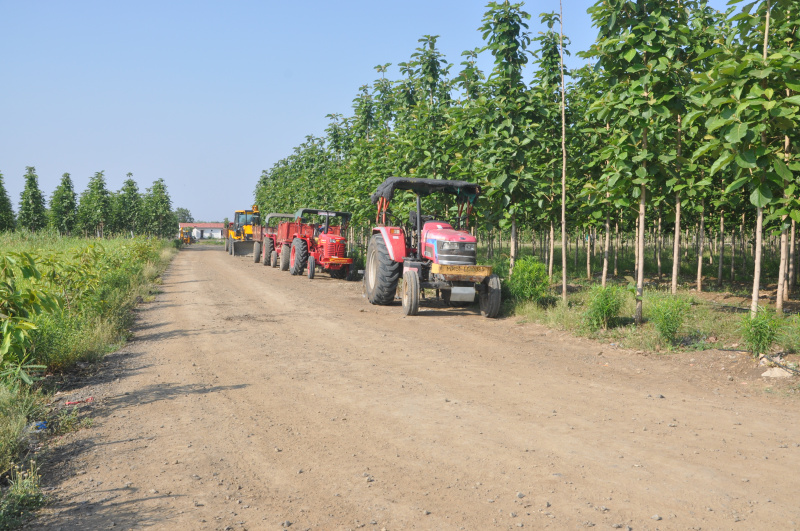  11200 Sq.ft. Agricultural/Farm Land for Sale in Borkhedi, Nagpur