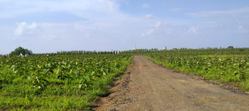 Agricultural Land for Sale in Banwadi, Nagpur