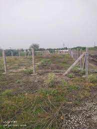 Agricultural Land 2200 Sq.ft. for Sale in
