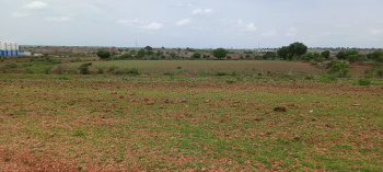  Agricultural Land for Sale in Devanakonda, Kurnool