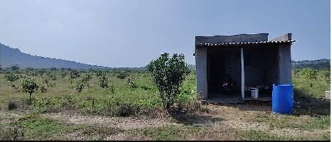  Agricultural Land for Sale in Gudur, Nellore