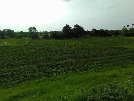  Agricultural Land for Sale in Cherial, Warangal