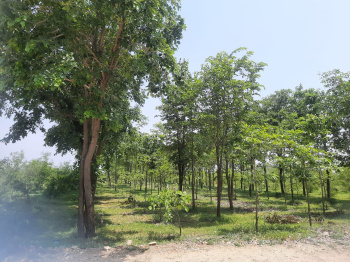  Agricultural Land for Sale in Viralimalai, Tiruchirappalli