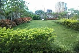  Residential Plot for Sale in Sonughat, Deoria
