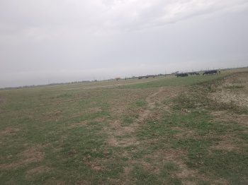  Residential Plot for Sale in Majhauli Raj, Deoria