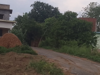  Residential Plot for Sale in Khorabar, Gorakhpur