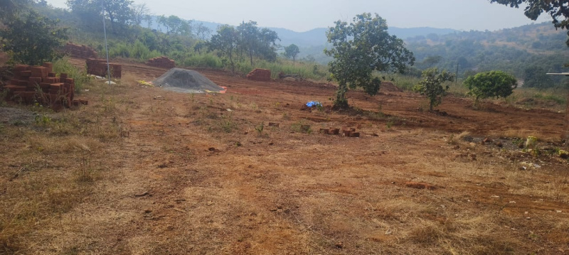  Residential Plot 20 Guntha for Sale in Mangaon, Raigad