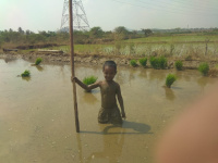  Industrial Land for Sale in Ranebennur, Haveri