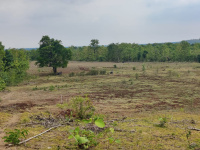  Agricultural Land for Sale in Arni Road, Yavatmal