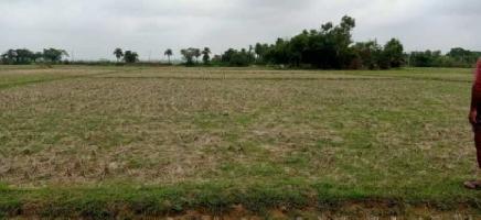  Commercial Land for Sale in Marine Drive Road, Puri