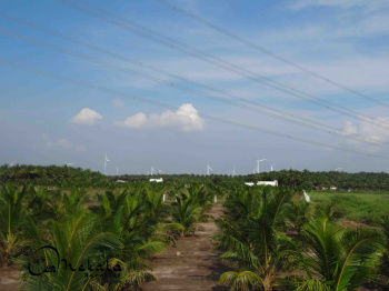  Agricultural Land for Sale in Senjerimalai, Coimbatore