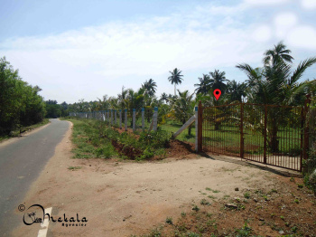  Agricultural Land for Sale in Thirumalayampalayam, Coimbatore