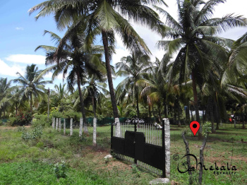  Agricultural Land for Sale in Thondamuthur Road, Coimbatore