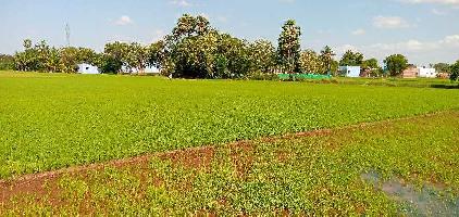  Agricultural Land for Sale in Melapalayam, Tirunelveli