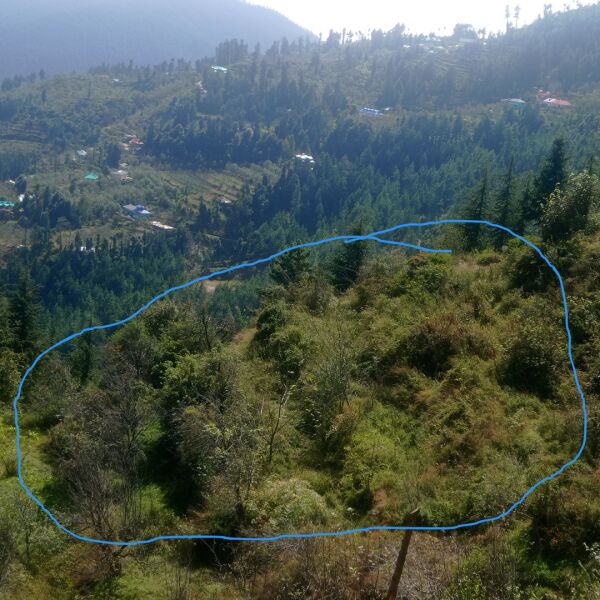  Commercial Land 35 Biswa for Sale in Fagu, Shimla