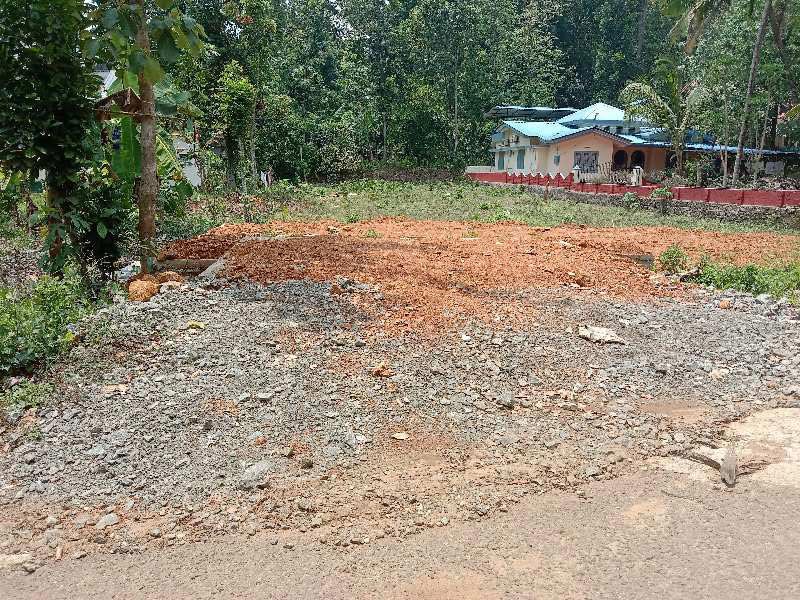 Residential Plot 20 Cent for Sale in Ranni, Pathanamthitta