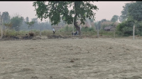  Residential Plot for Sale in Sonepur, Saran