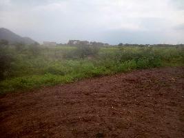  Agricultural Land for Sale in Narasaraopet, Guntur