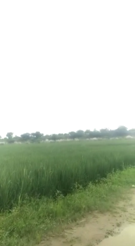  Agricultural Land for Sale in Jalvayu Vihar, Greater Noida
