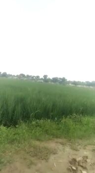  Agricultural Land for Sale in Jalvayu Vihar, Greater Noida