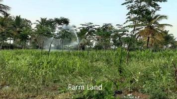  Agricultural Land for Rent in Kanakapura, Bangalore