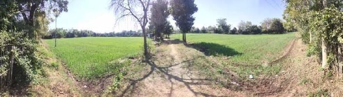  Agricultural Land for Sale in Sherkhi, Vadodara