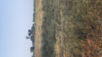  Industrial Land for Sale in Manjusar GIDC, Vadodara
