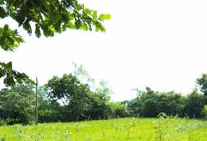  Agricultural Land for Sale in Mahapura, Vadodara