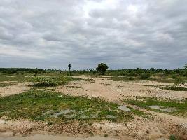  Agricultural Land for Sale in Arakonam, Chennai