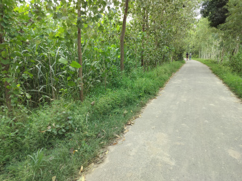  Agricultural Land for Sale in Biharigarh, Dehradun