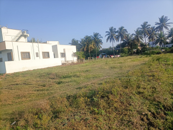  Residential Plot for Sale in Warnali, Sangli