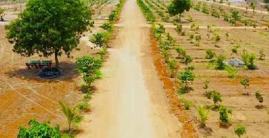  Agricultural Land for Sale in Thummaloor, Hyderabad