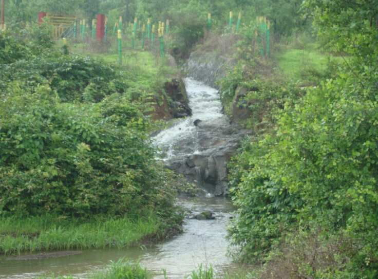  Residential Plot 2421 Sq.ft. for Sale in Wada, Palghar