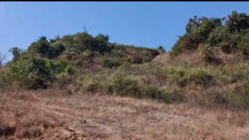 Residential Plot for Sale in Pen, Raigad