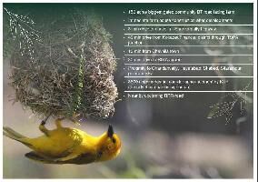  Agricultural Land for Sale in Chevella, Hyderabad