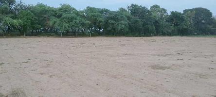  Agricultural Land for Sale in Abohar, Fazilka