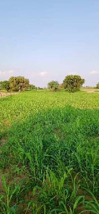  Agricultural Land for Sale in NH 8, Dharuhera