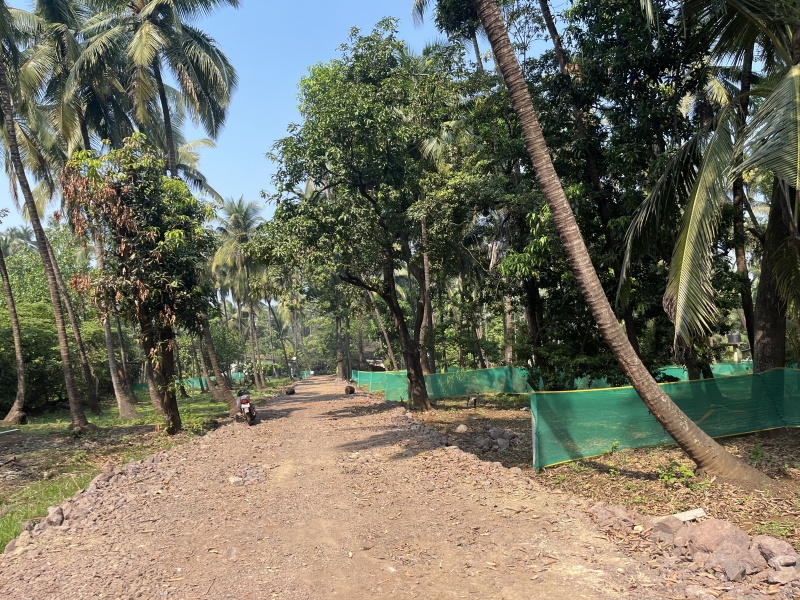  Agricultural Land 6 Guntha for Sale in Nagaon, Alibag, Raigad