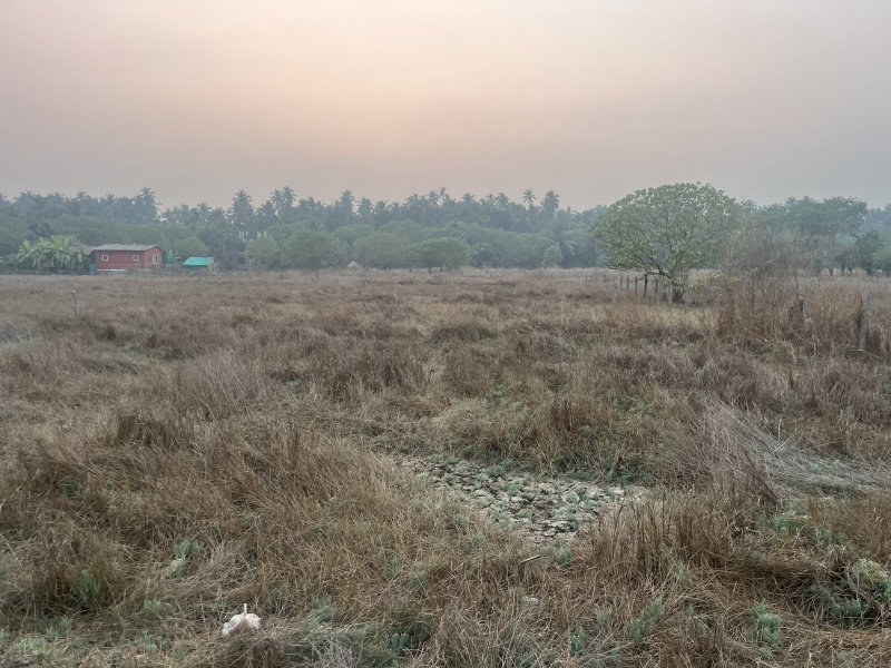  Residential Plot 400 Guntha for Sale in Revdanda, Alibag, Raigad