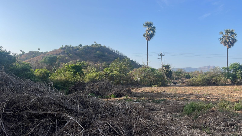  15 Guntha Agricultural/Farm Land for Sale in Chaul, Alibag, Raigad