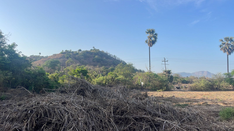  15 Guntha Agricultural/Farm Land for Sale in Chaul, Alibag, Raigad