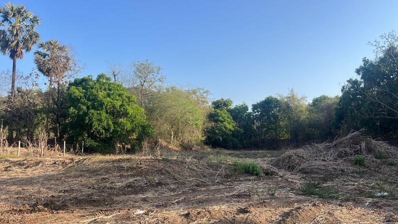  15 Guntha Agricultural/Farm Land for Sale in Chaul, Alibag, Raigad