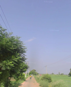  Agricultural Land for Sale in Lalton Kalan, Ludhiana