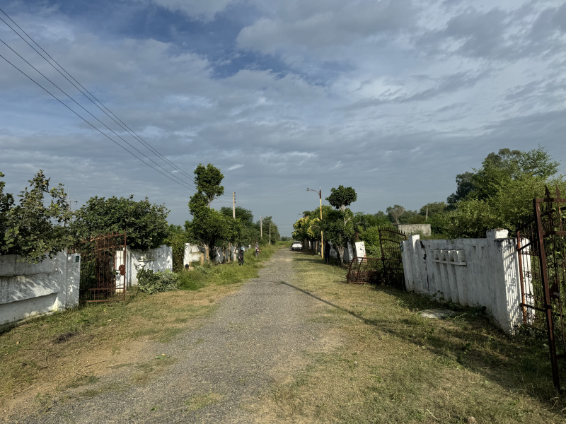  Residential Plot 233 Sq. Yards for Sale in Lalton Kalan, Ludhiana