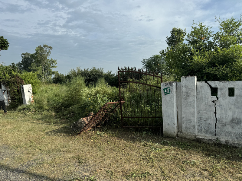  Residential Plot 233 Sq. Yards for Sale in Lalton Kalan, Ludhiana