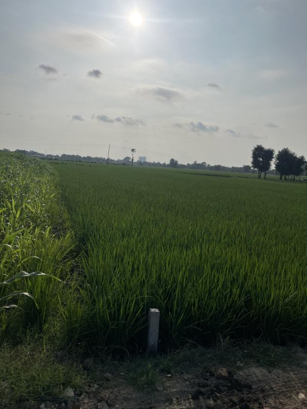  Residential Plot 2150 Sq. Yards for Sale in Ferozepur Road, Ludhiana
