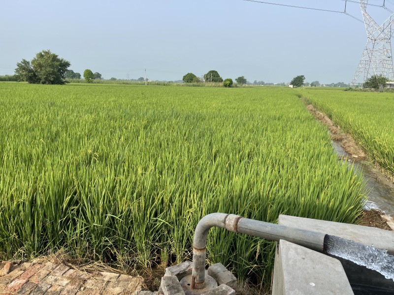 Residential Plot 7 Acre for Sale in Pakhowal Road, Ludhiana