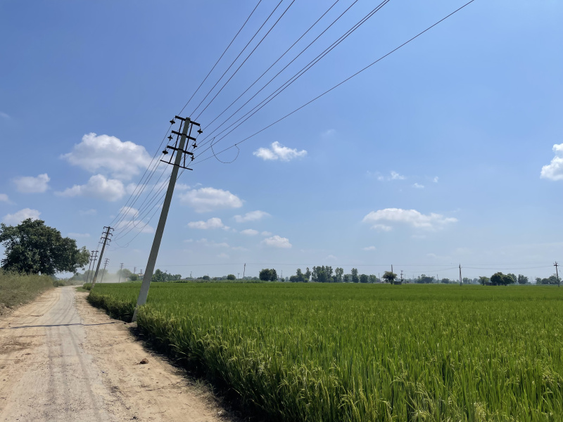  Residential Plot 7 Acre for Sale in Ferozepur Road, Ludhiana