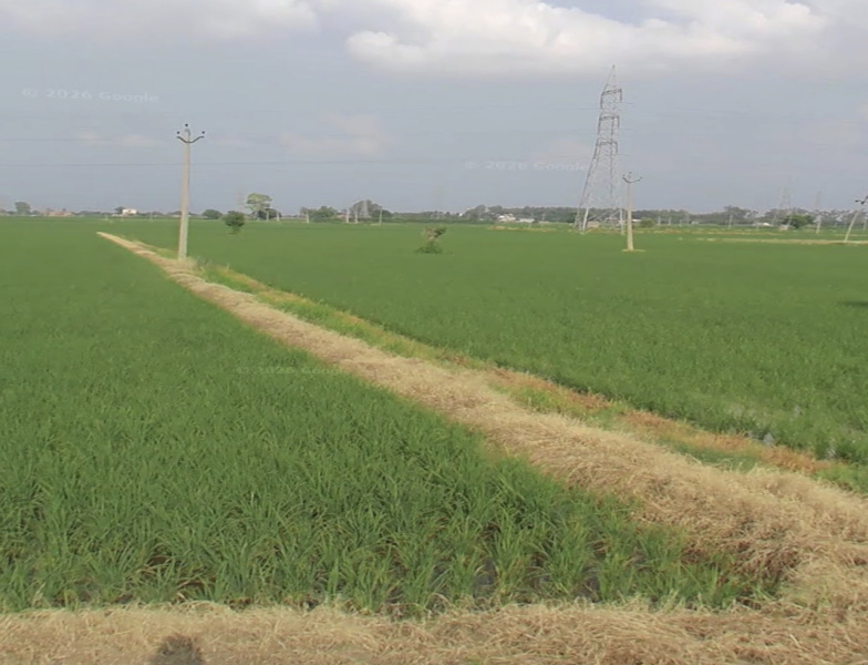  1940 Sq. Yards Residential Plot for Sale in Pakhowal Road, Ludhiana