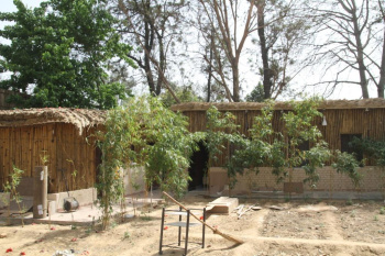 4 BHK Farm House for Rent in DLF Chattarpur Farms